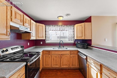 6265 Sorpresa Ln, Colorado Springs, CO 80924 - photo 4