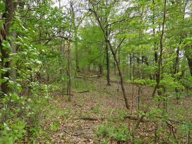 DSCN1399_2512