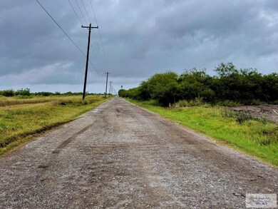 TDB Joines Rd unit Tract 3, San Benito, TX 78586 - photo 6