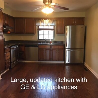 Recessed (with dimmer) lighting plus ceiling fan/l