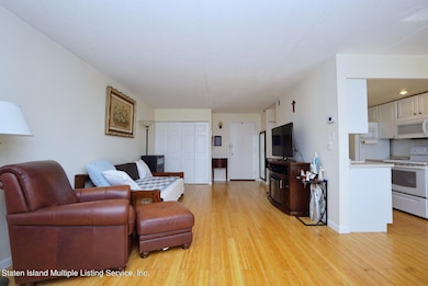 Elmwood Park Condominium II unit 3KK, Staten Island, NY 10314 - photo 6