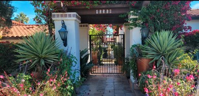 Ocotillo Drive 1