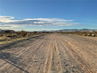 1 Buffalo Trail, Helendale, CA 92342 - photo 6