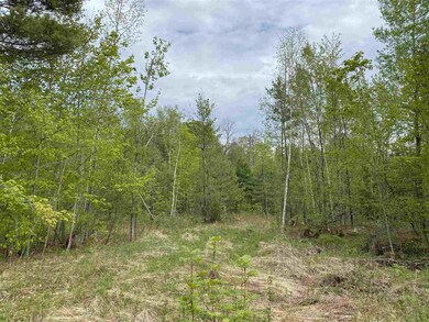 0 Long View Ln unit 3 4809140, Westmore, VT 05860 - photo 5