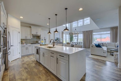 The Isakoff Kitchen