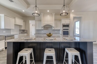 1064 Elevation Trail, Weatherford, TX 76087 - photo 4