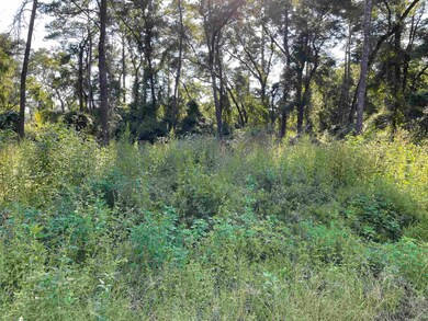 xxx Chippewa Rd, Crawfordville, FL 32327 - photo 2