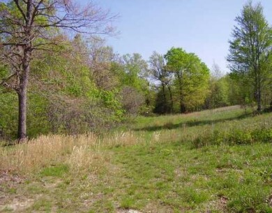 14794 Slaty Gap Rd, West Fork, AR 72774 - photo 4