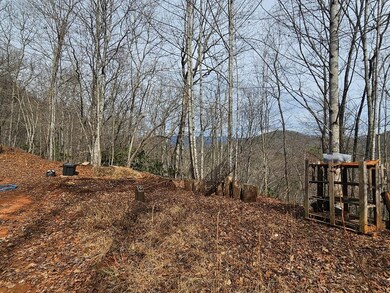 Mountain View from property