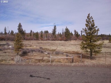 0 Bickleton Hwy unit 17 12542103, Bickleton, WA 99322 - photo 2