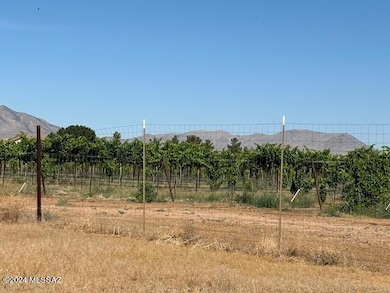 Lot abuts the Vinyard