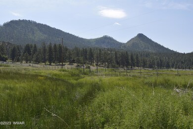 _DSC0136