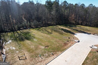 25 Rivers Edge Ln unit LOT 10, Franklin, GA 30217 - photo 2