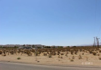 Picture #6