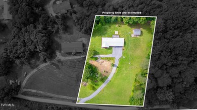 110 Richard Ln, Fall Branch, TN 37656 - photo 6