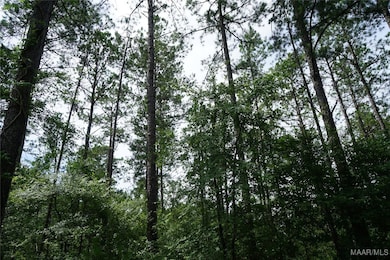 640 Barnes Rd, Pike Road, AL 36064 - photo 4