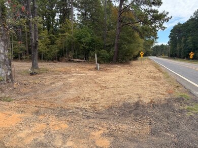 TBD Hwy 53, Bradley, AR 71861 - photo 6