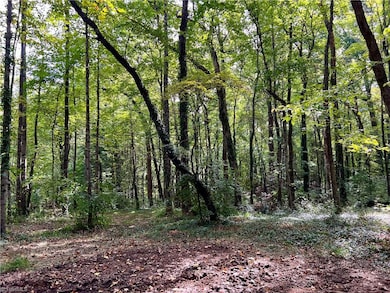 00 Jackson Rd unit 8.64 Ac, Mount Airy, NC 27030 - photo 2