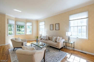 57 Rambling Dr, Scotch Plains, NJ 07076 - photo 6