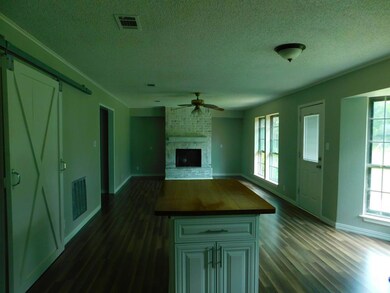 2933 Cr 510z, Brazoria, TX 77422 - photo 4