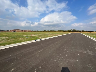 3521 Clifford Dr, Weslaco, TX 78599 - photo 4