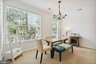 1724 Kingsgate Ct unit 301, Alexandria, VA 22302 - photo 5