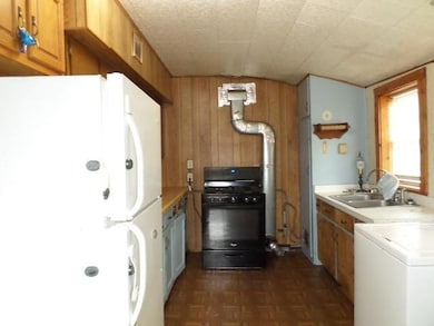 203 Kendall Ave S, Thief River Falls, MN 56701 - photo 4