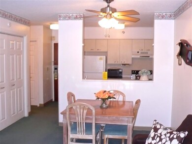 28 Packards Rd unit 320, Waterville Valley, NH 03215 - photo 6