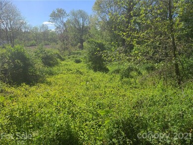 TBD Shannon Dr, Asheville, NC 28803 - photo 2