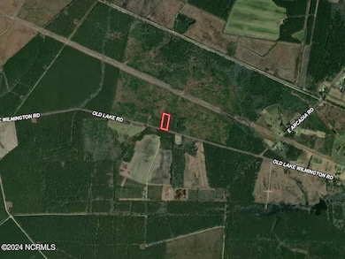 00 Old Lake Rd, Riegelwood, NC 28456 - photo 3