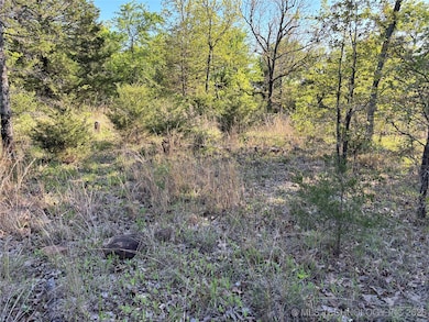 100752 S 4497 Rd, Vian, OK 74962 - photo 2