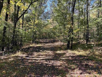 0 Bethuel Rd unit Lot 6, Unincorporated, TN 38053 - photo 5
