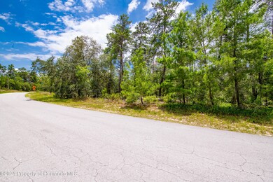 13 Lone Pine St, Sugarmill Woods, FL 34446 - photo 4