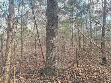 0 Circle g Dr, Lawrenceburg, TN 38464 - photo 2