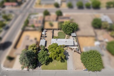 Iris Ave-50