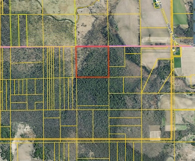 Parcel T101519030600100, Forest