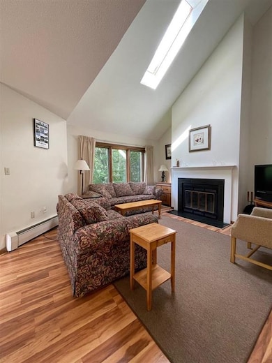 127 Mountains Edge Rd unit 202, Brownsville, VT 05037 - photo 3