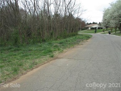 145 Birchwood Rd, Statesville, NC 28625 - photo 7