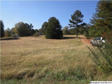 0 County Road 329 unit 16 547705, Wedowee, AL 36278 - photo 4