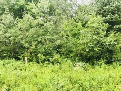 ON Phalzgraff Rd, Tomahawk, WI 54487 - photo 2