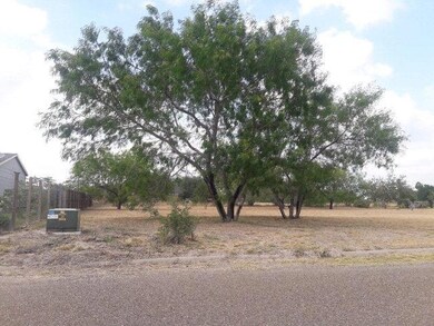 1709 Leanne Ln, Donna, TX 78537 - photo 5