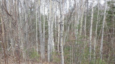 IMGP1182