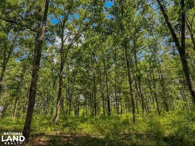 0 Peach Orchard Rd, Brent, AL 35034 - photo 2