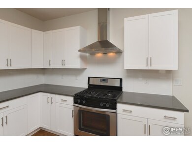 503 Cajetan St, Fort Collins, CO 80524 - photo 7