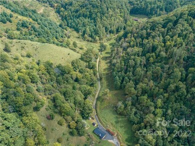 000 Silvers Gap Rd, Burnsville, NC 28714 - photo 4