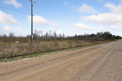 04-13386-Potter-Rd-Bear-Lake-MI-49614-Wi
