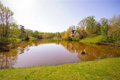 Pond view from further down Big Tree Road