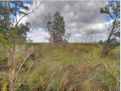 26 Somerset (Lot 5), St. Simons Island, GA 31522 - photo 2