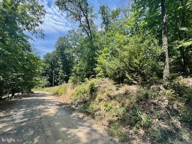 0 River View Place unit VAPA2003814, Shenandoah, VA 22849 - photo 3
