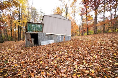 collier loop - johnson (50)